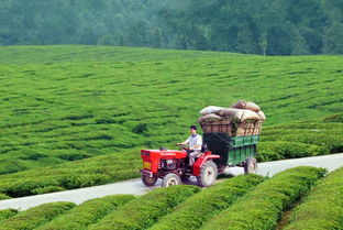 又一波財政扶持資金來襲，農綜特色項目2018年申報啟動